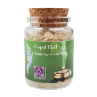 Manila Copal resin - Light Copal 60 ml