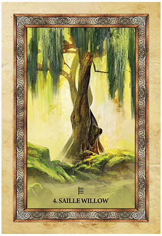 Celtic Tree Oracle Cards